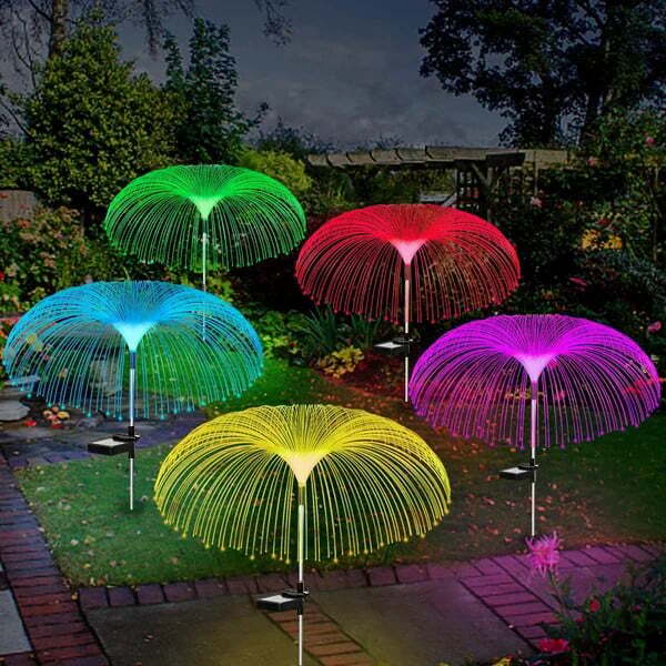 Enchanting Outdoor Ambience