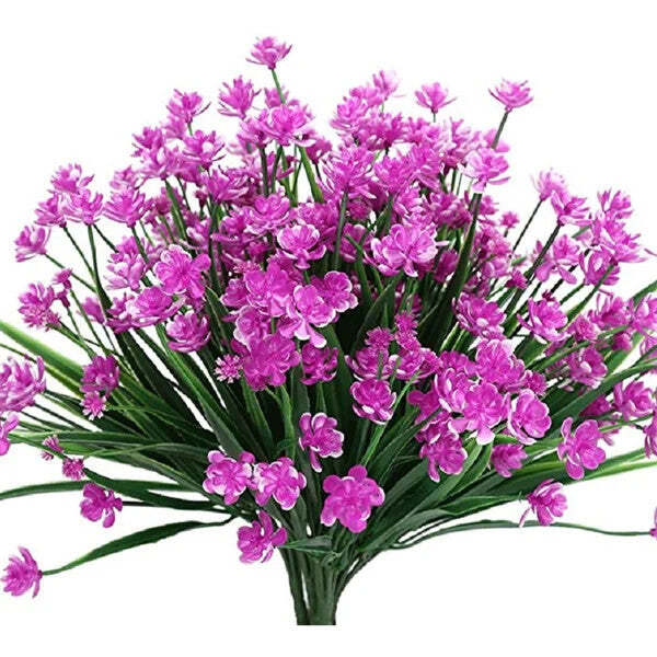 Purple Narcissus