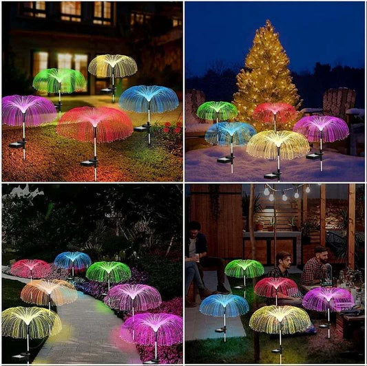 Enchanting Outdoor Ambience