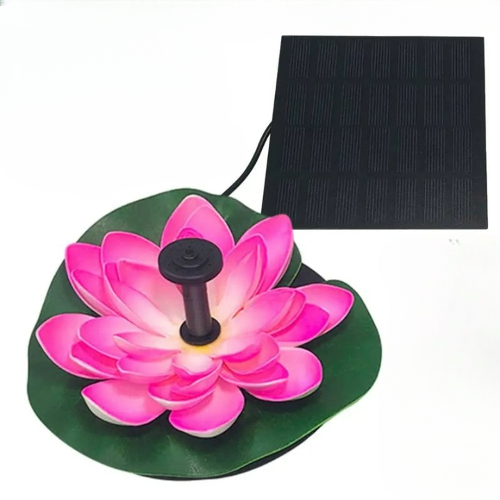 Harmonizing Lotus Stream